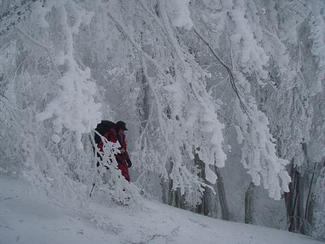 どんかっちょさん