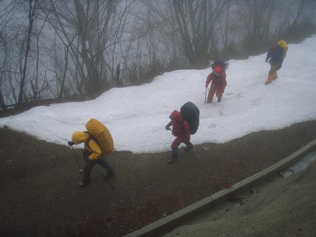 林道まで上ってきた