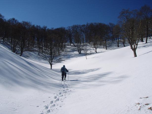お食事場所を求めて～～