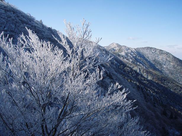 ヒミツグラから