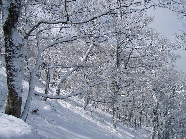 ウットリ～～急坂