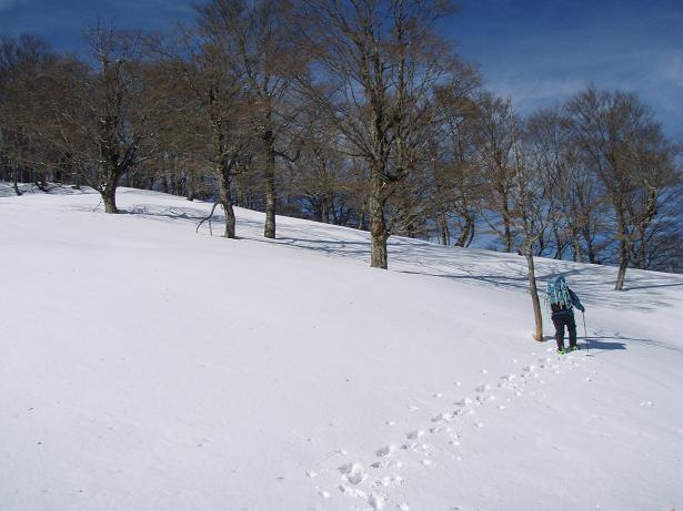 登るのシンドイ～