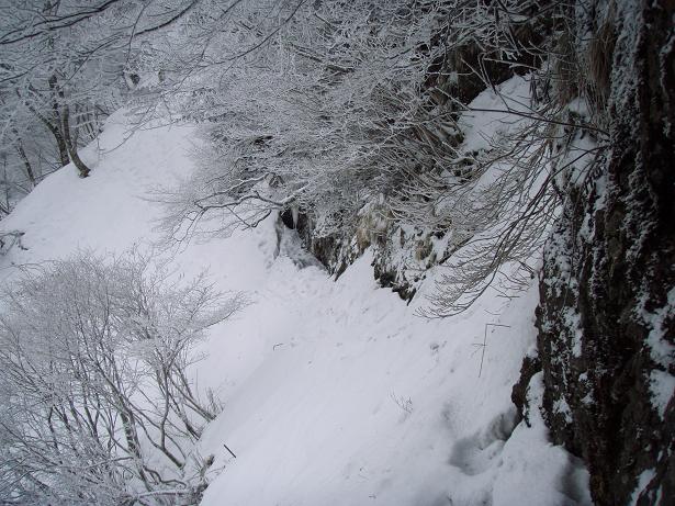 かすかに踏み跡が。。。