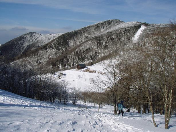 霧氷消えてます