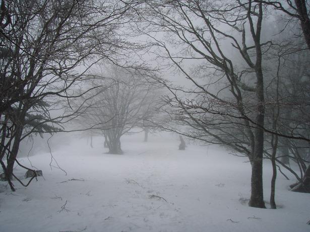 雪が増えてきた