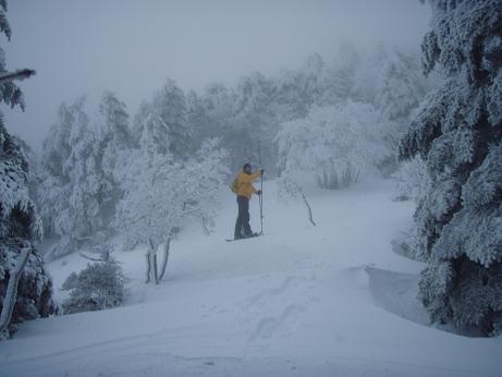 こっちかな～？
