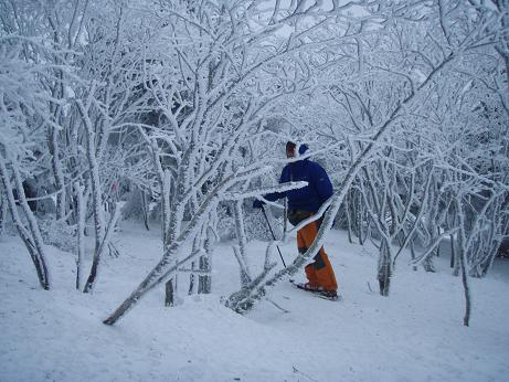 あっちかな～？