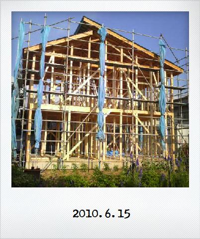 Image-2.jpg