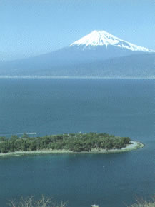 大瀬崎と富士山.jpg