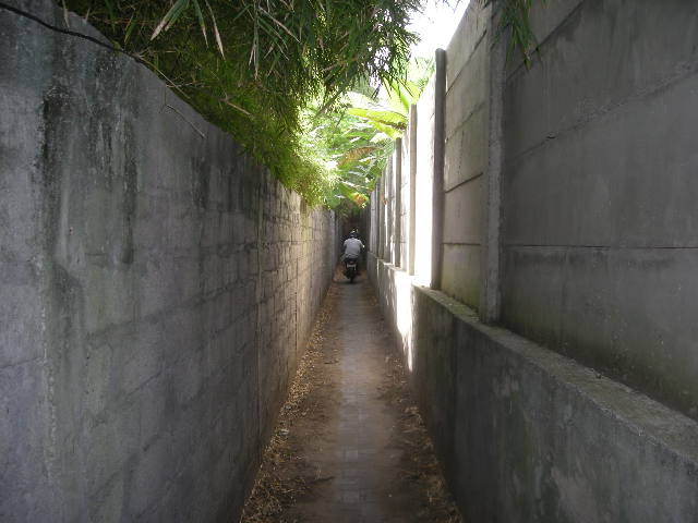 バリ　6