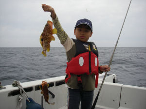 10月24日の釣行-5-高級魚キジハタ一家！！！