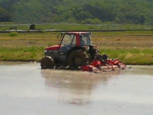 我家の愛車フェラーリ？で田んぼの代掻き中～！・・・2008.5.6