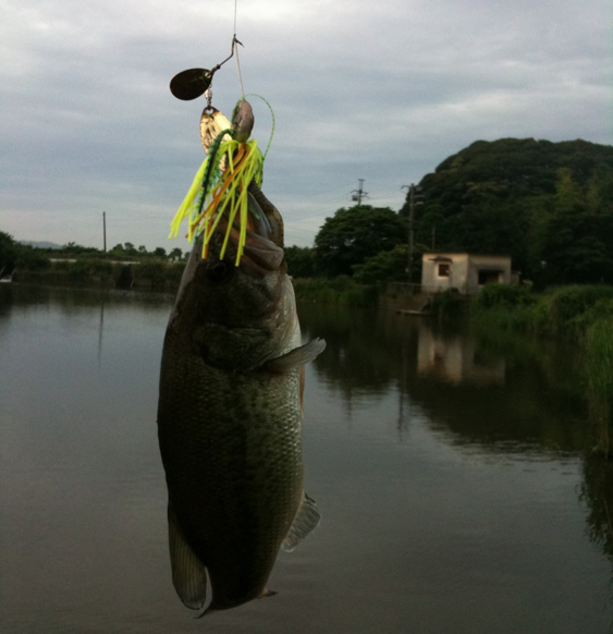 11ページ目の記事一覧 60釣れたらバス釣りやめます 楽天ブログ