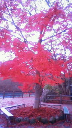2011-11-08 21:06:32