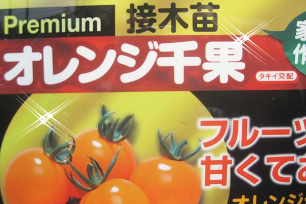 トマト苗 新品種