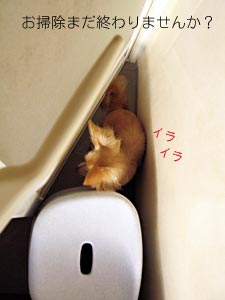 まだかいな