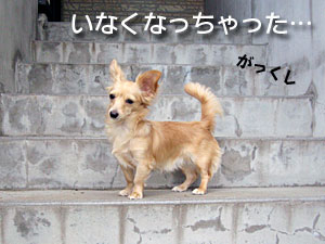 蝶に逃げられしょんぼり