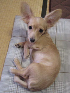 だいぶ成長しました
