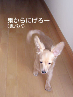 節分は鬼から逃げる行事か？