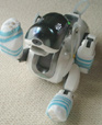 2005-06-08 10:00:34