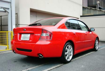 ブリちゃん　斜め後ろ