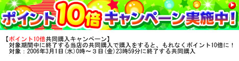 ベアレンポイント１０倍キャンペーン