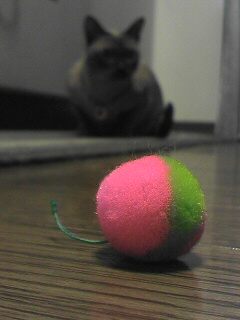 ｸﾘｯｸでちょっぴりｱｯﾌﾟ画開きます