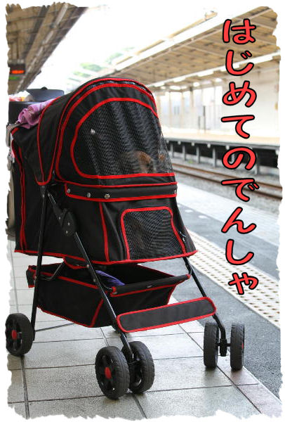 駅