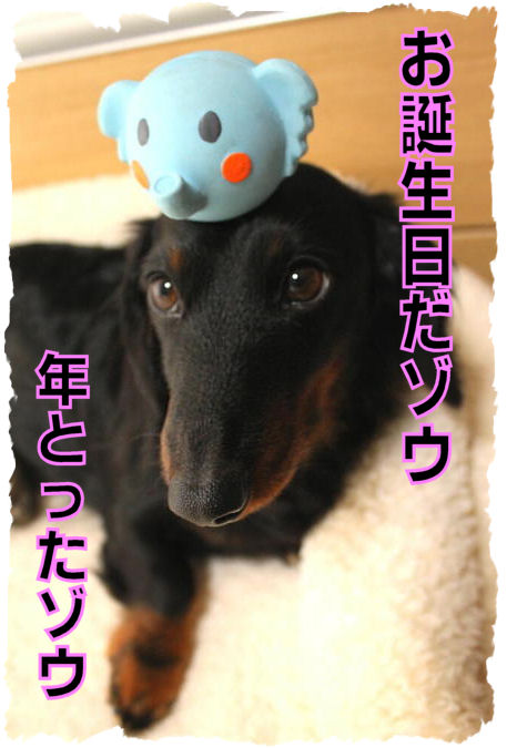 誕生日