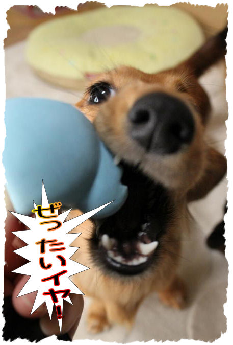 誕生日