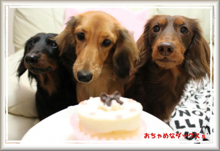 ケーキ