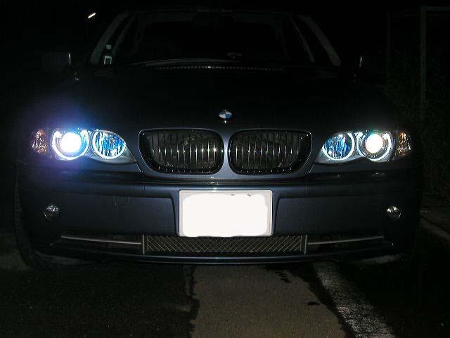 イカリングです。