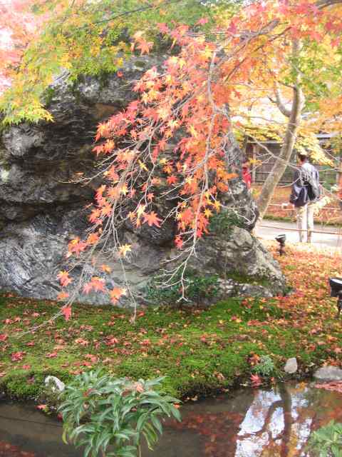 宝厳院　獅子岩の紅葉