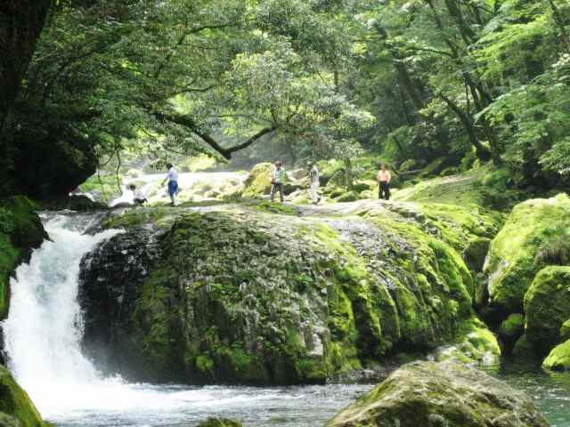 水が思いっきり透明　名水