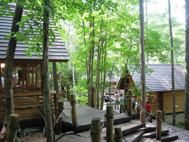 ニングルの森風景