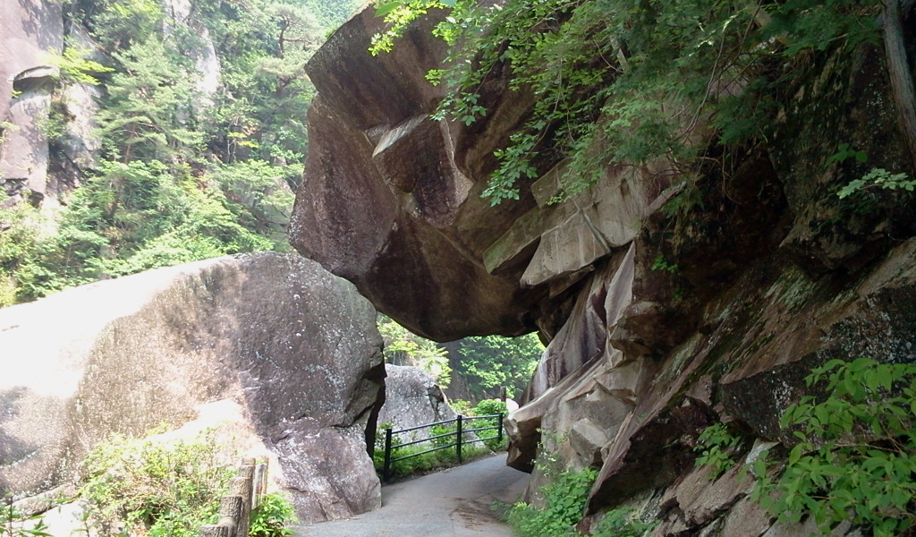 2011-06-05 10.24.14.jpg