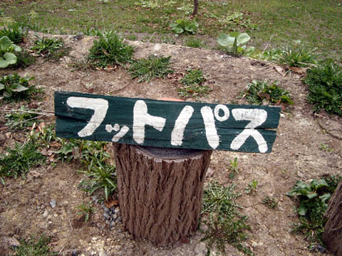 08_04_27_16.JPG