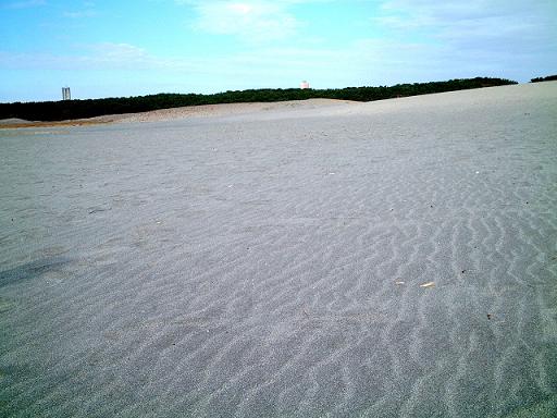 15.12.15 中田島砂丘2