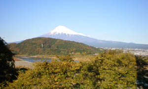 楽座　富士山