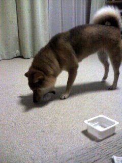 お口に注目＾＾