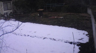 自宅裏の畑の積雪01