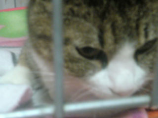 １歳半のルイくん