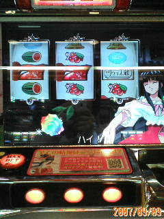 レインボーなバラの花