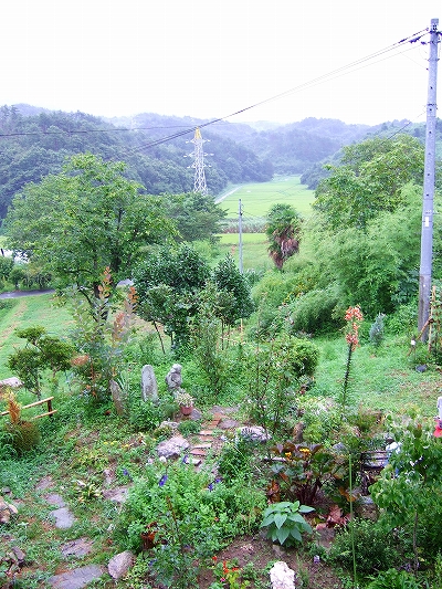 古民家の庭