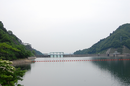 今日の大倉ダム