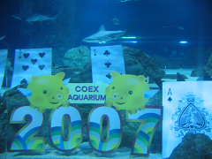 水族館2007