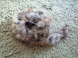 ホークカンパニー　ファーベルト