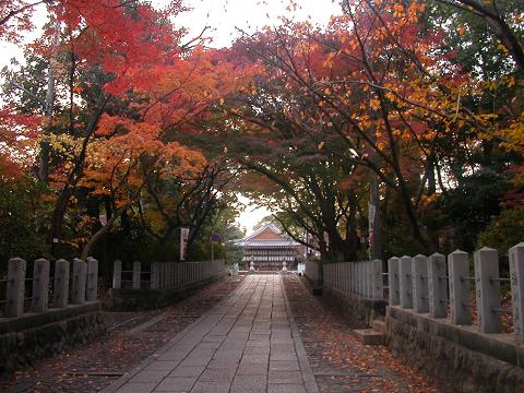 向日神社