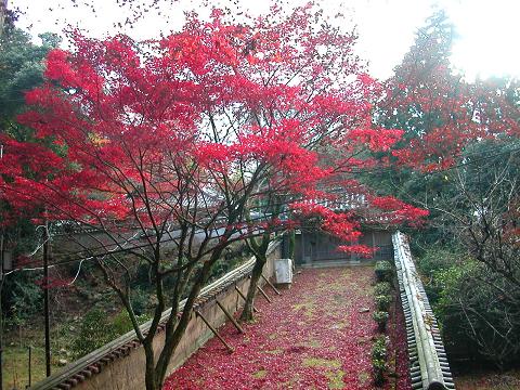 圓教寺　瑞光院