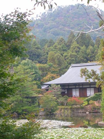 竜安寺　鏡容池